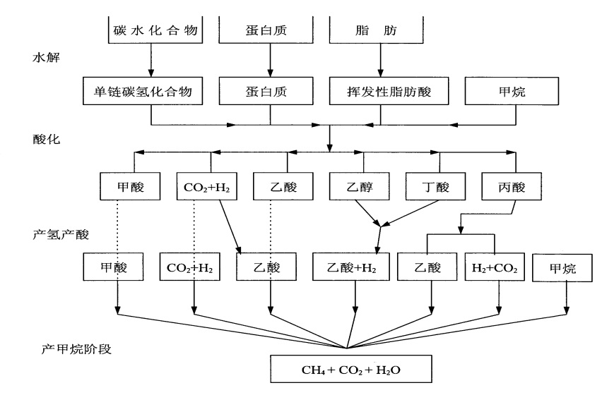 说明: 厌氧分解图 